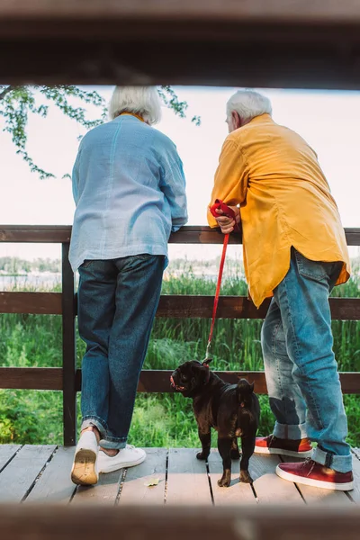 Enfoque selectivo de pareja mayor con perro de pug con correa de pie en puente de madera en el parque - foto de stock
