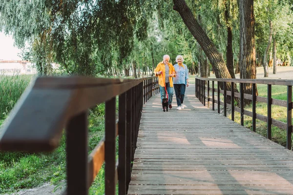 Concentration sélective de sourire femme âgée marchant près du mari avec chiot chiot en laisse sur le pont dans le parc — Photo de stock
