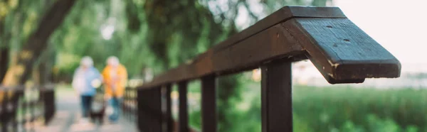 Панорамна орієнтація дерев'яного мосту і пари на фоні парку — стокове фото