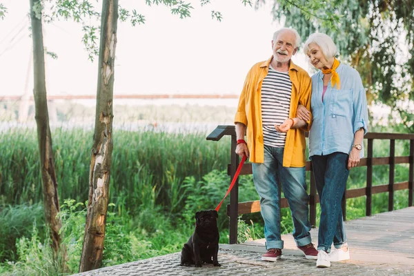 Улыбающийся пожилой мужчина смотрит в камеру возле жены и мопса на поводке в летнем парке — стоковое фото