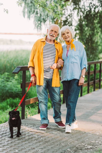 Позитивна старша пара посміхається на камеру біля мопса собаки на мосту в парку — стокове фото