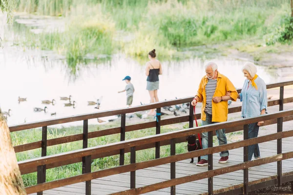 Concentration sélective de la femme âgée gaie marchant près du mari et chiot chiot sur le pont dans le parc — Photo de stock