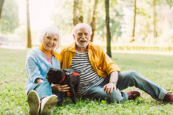 Selektiver Fokus eines lächelnden älteren Ehepaares mit Mops, das auf dem Rasen im Park in die Kamera blickt — Stockfoto