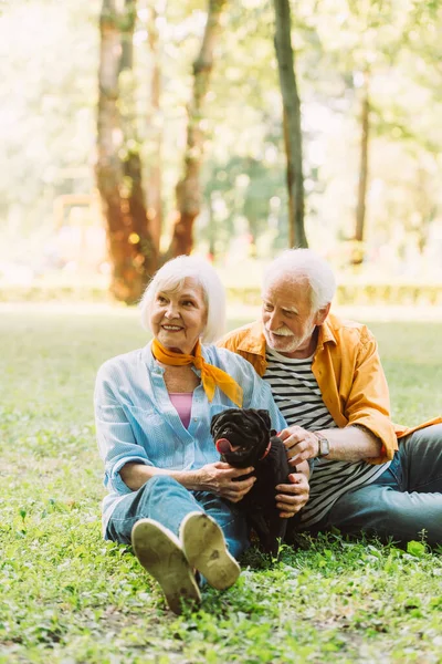 Selective focus of smiling elderly couple petting pug dog on grass in park — Stock Photo