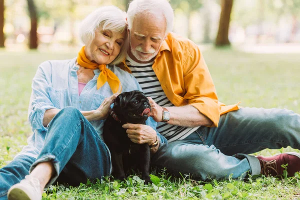 Selective focus of smiling senior woman petting pug dog near husband on lawn in park — Stock Photo