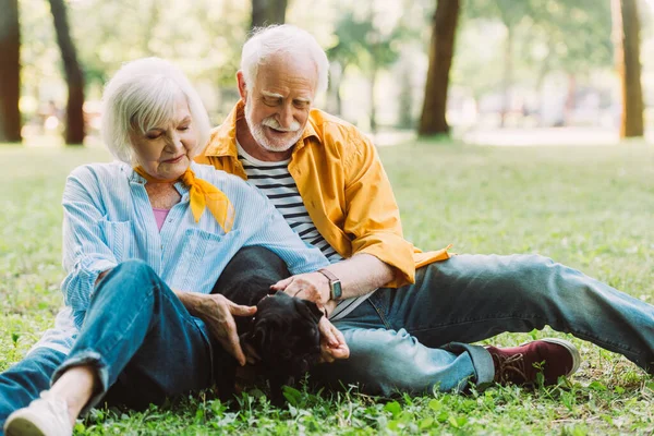 Selective focus of positive senior couple petting pug dog on grass in park — Stock Photo