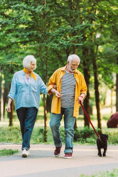 Selective focus of cheerful elderly couple walking with pug dog on leash in park — Stock Photo