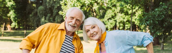 Панорамный снимок улыбающейся пожилой пары, смотрящей на камеру в парке — Stock Photo