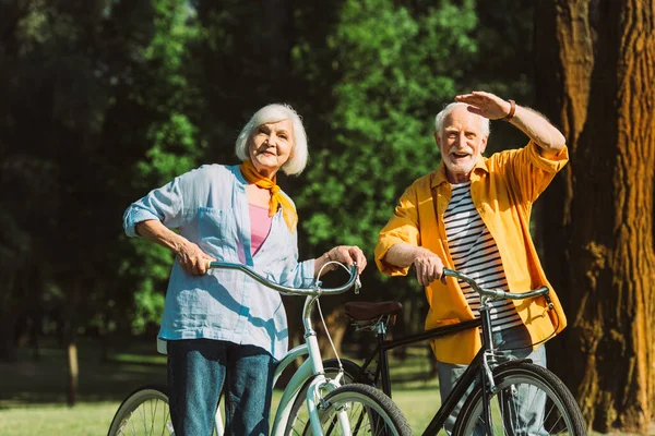 Casal idoso feliz olhando para a câmera enquanto caminha com bicicletas no parque — Fotografia de Stock