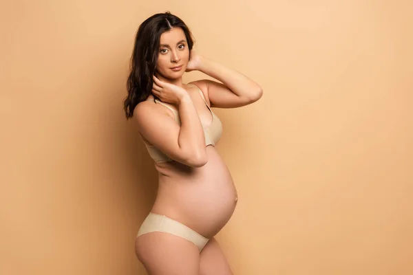 Young, pregnant brunette woman in underwear touching hair while looking at camera on beige — Stock Photo