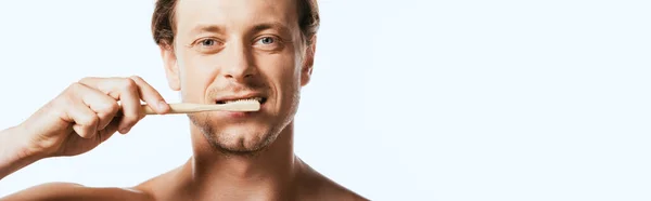 Panoramic shot of shirtless man brushing teeth and looking at camera isolated on white — Stock Photo