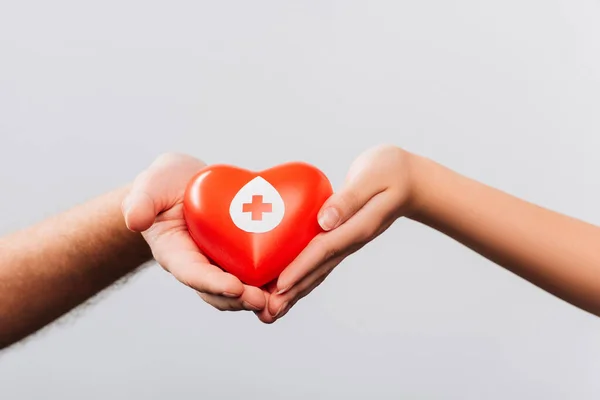 Vista recortada de hombres y mujeres sosteniendo corazón rojo aislado en blanco, concepto de donación de sangre - foto de stock