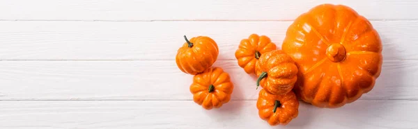 Top view of decorative pumpkins on white wooden background, panoramic shot — Stock Photo