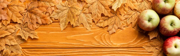 Vista superior de manzanas maduras y follaje otoñal sobre fondo de madera, plano panorámico - foto de stock