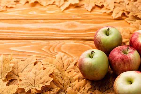 Manzanas maduras y follaje otoñal sobre fondo de madera - foto de stock