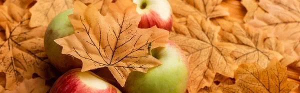 Selective focus of ripe tasty apples and autumnal leaf, panoramic shot — Stock Photo