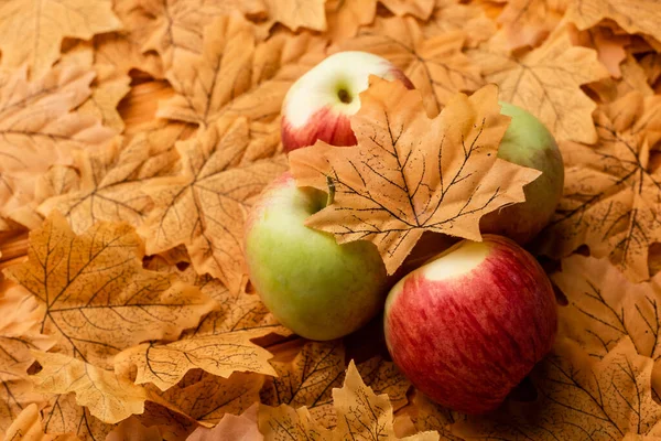 Selective focus of ripe tasty apples and autumnal leaf — Stock Photo