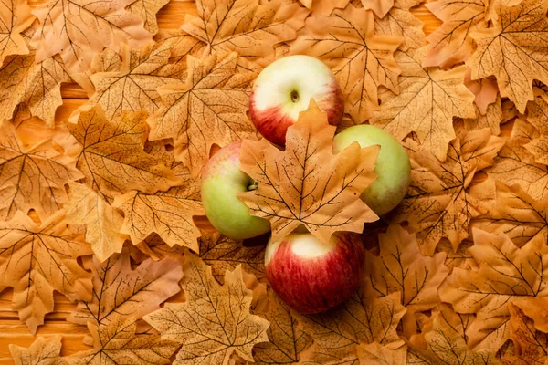 Vista superior de manzanas maduras y sabrosas y follaje otoñal - foto de stock