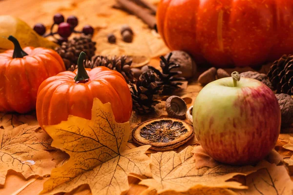Herbsternte und Dekoration mit goldenem Laub — Stockfoto