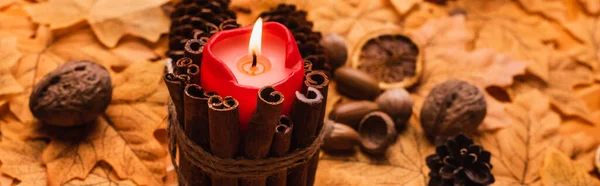 Вибірковий фокус палаючої свічки з осінньо-коричневим прикрасою на золотому листі, панорамний знімок — стокове фото