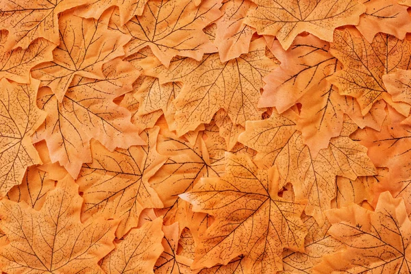 Top view of golden autumnal foliage background — Stock Photo