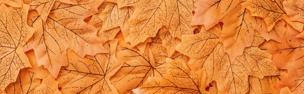 Top view of golden autumnal foliage background, panoramic shot — Stock Photo