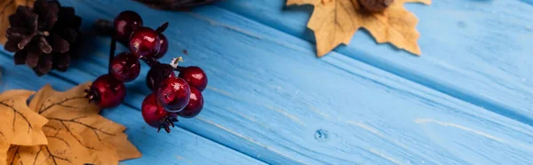 Herbstliche Blätter, Beeren und Zapfen auf blauem Holzgrund, Panoramaaufnahme — Stockfoto