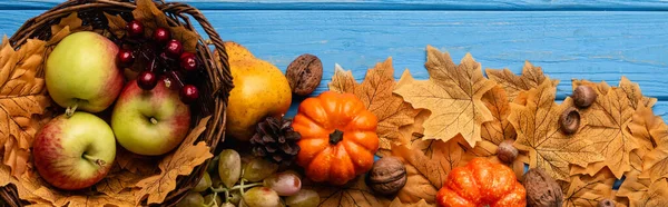 Top view of autumnal harvest in basket and foliage on blue wooden background, panoramic shot — Stock Photo