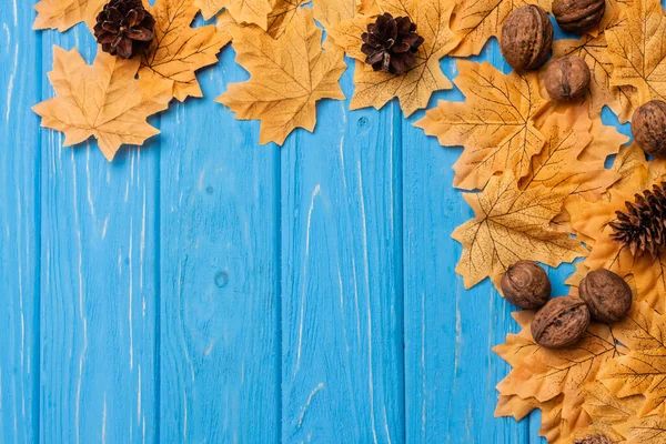 Вид зверху на осіннє листя з горіхами та шишками на синьому дерев'яному фоні — стокове фото