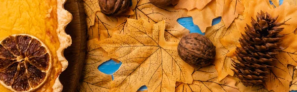 Top view of pumpkin pie on autumnal foliage with walnuts and cone, panoramic shot — Stock Photo