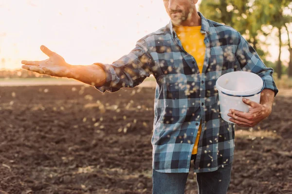 Cropped view of farmer in checkered shirt sowing seeds on plowed field — Stock Photo
