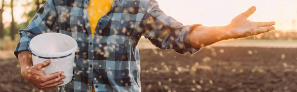 Vista recortada del agricultor en camisa a cuadros sosteniendo cubo y sembrando granos en el campo, imagen horizontal - foto de stock