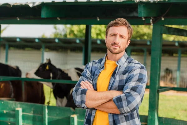 Rancher en chemise à carreaux debout avec les bras croisés près étable à la ferme — Photo de stock