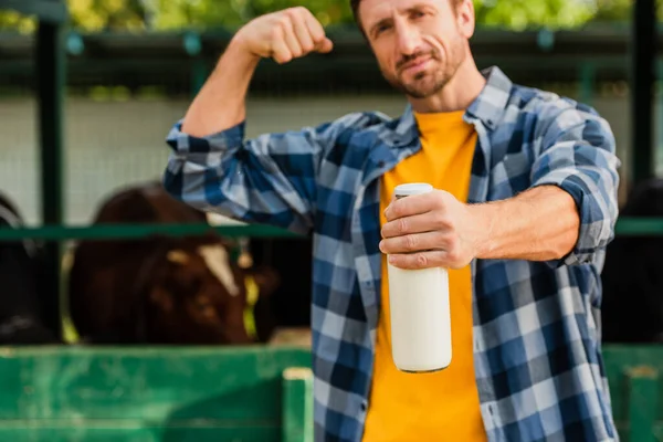 Selective focus of farmer in plaid shirt demonstrating strength while showing bottle of fresh milk — Stock Photo