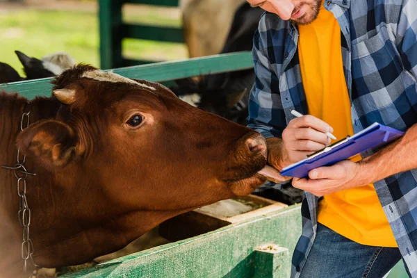 Cropped view of farmer writing on clipboard while brown cow licking his hand — Stock Photo