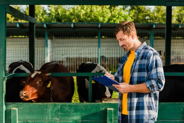 Bauer im karierten Hemd steht neben Kuhstall und schreibt auf Klemmbrett — Stockfoto