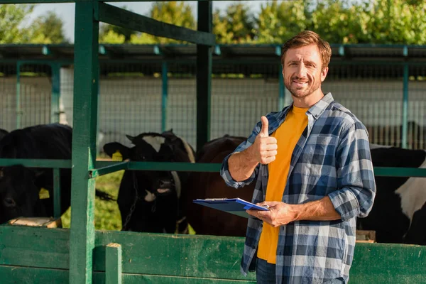 Agricultor en camisa a cuadros que muestra el pulgar hacia arriba mientras está de pie cerca de establo con portapapeles - foto de stock