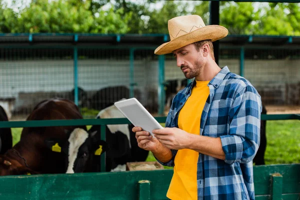 Agriculteur en chemise à carreaux et chapeau de paille en utilisant une tablette numérique à la ferme près de cow-shed — Photo de stock