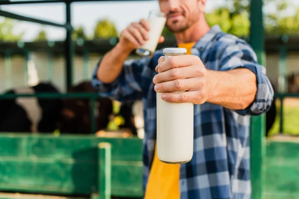 Enfoque selectivo del agricultor en camisa a cuadros sosteniendo botella y vaso de leche fresca - foto de stock