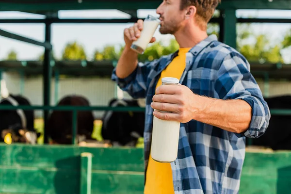 Селективний фокус фермера в простій сорочці, що тримає пляшку під час пиття свіжого молока — стокове фото