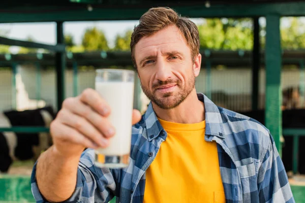 Enfoque selectivo de ranchero en camisa a cuadros presentando vaso de leche fresca mientras mira a la cámara - foto de stock
