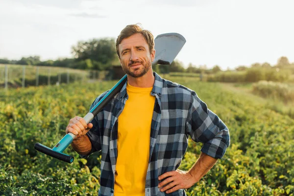 Agricultor em camisa xadrez olhando para a câmera enquanto segurando pá no campo — Fotografia de Stock