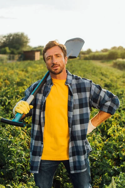 Bauer im karierten Hemd blickt in die Kamera, während er mit Schaufel im Feld steht — Stockfoto