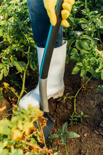 Vue partielle de l'agriculteur dans des bottes en caoutchouc creuser le terrain dans le champ avec une pelle — Photo de stock