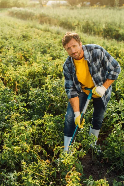 Фермер в клетчатой рубашке, перчатках и резиновых сапогах копает в поле, глядя в камеру — стоковое фото