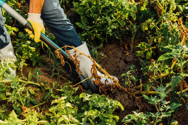 Teilansicht eines Bauern in Gummistiefeln, der in einem Feld Erde schaufelt — Stockfoto