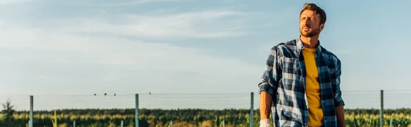 Intestazione sito web di allevatore in camicia a quadri guardando altrove mentre in piedi in campo in azienda — Foto stock