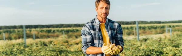 Imagen horizontal del agricultor con camisa a cuadros y guantes sosteniendo papas frescas mientras está de pie en el campo - foto de stock