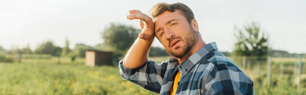 Panoramic shot of exhausted farmer touching forehead while standing in field and looking at camera — Stock Photo