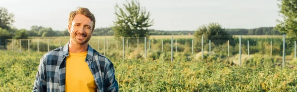 Imagem horizontal do agricultor em camisa quadriculada olhando para a câmera enquanto em pé na plantação — Fotografia de Stock